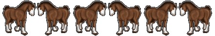 Horse Line